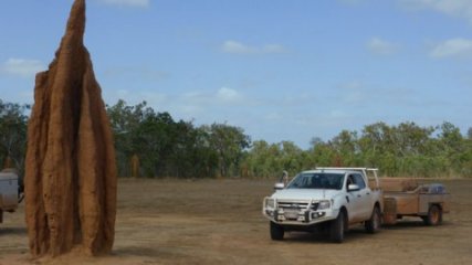 Australia (Bramwell Junction)